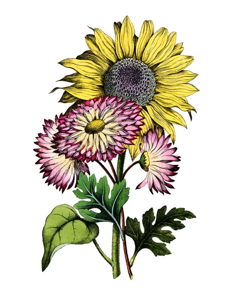 Digital Print Retro Flower /& Sun Wall Art