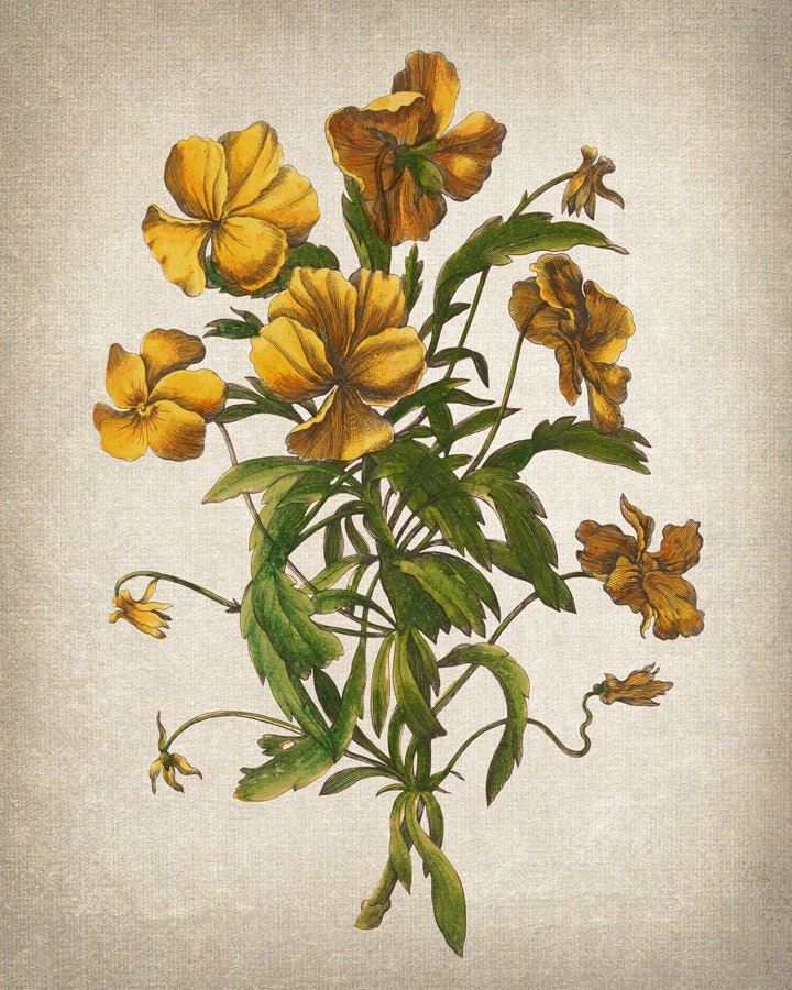 Antique Flowers Set of 9 Digital Prints, 18th Century Floral