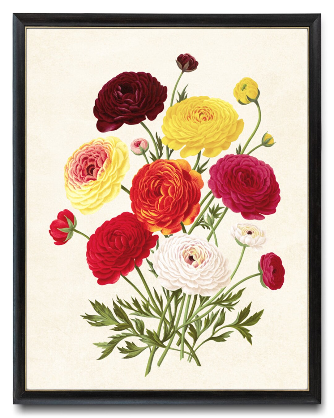Autumn Floral Printable, Vintage Flower Illustration, Fall Colors ...
