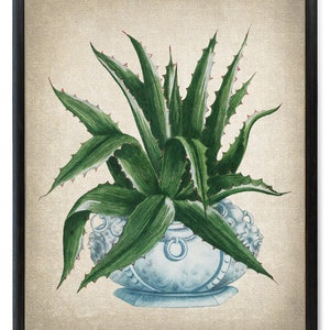 Succulent Print, American Aloe Plant Vintage Illustration, Botanical Wall Art Printable, INSTANT DOWNLOAD