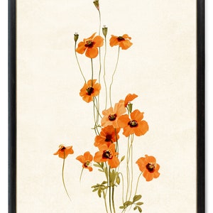 Orange Poppy Flowers Printable, Wind Poppies Vintage Illustration, Botanical Wall Art Print INSTANT DOWNLOAD