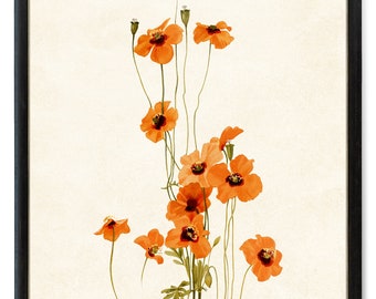Orange Poppy Flowers Printable, Wind Poppies Vintage Illustration, Botanical Wall Art Print INSTANT DOWNLOAD
