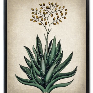 Aloe Vera Digital Print, Antique Succulent Plant Illustration, Printable Botanical Wall Art INSTANT DOWNLOAD