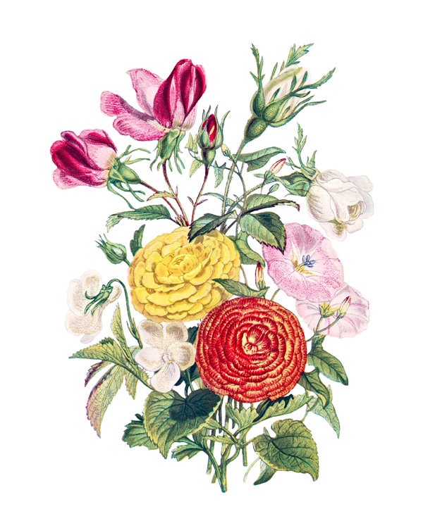Downloadable Floral Bouquet Prints Set of 6 Vintage | Etsy