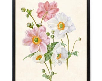 Pink and White Anemone Flowers Digital Print, Vintage Flower Illustration, Printable Botanical Wall Art INSTANT DOWNLOAD