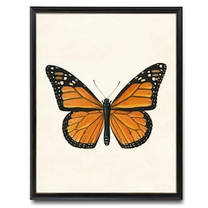 Monarch Butterfly Printable Art, Vintage Insect Illustration, Natural History, Minimal Wall Art Decor INSTANT DOWNLOAD
