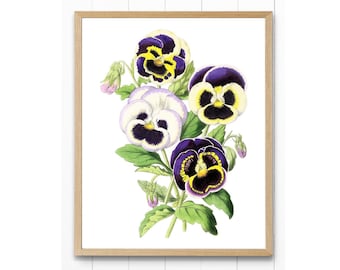 【絵画】ボタニカルアート　「パンジー」原画 pansies,パンジー,ボタニカルアート,博物画,Floricultural