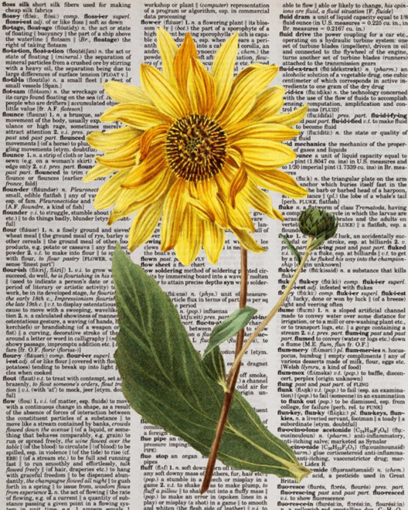 Flower Dictionary Printable Purple-disc Sunflower Vintage | Etsy