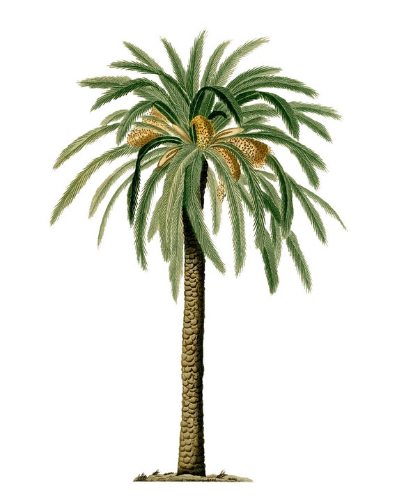 Society6 ケース Heart Green Yellow Vintage Palm Tree with Ha Green Yellow Vintage Palm Tree with Hawaii Summer Sea Beach