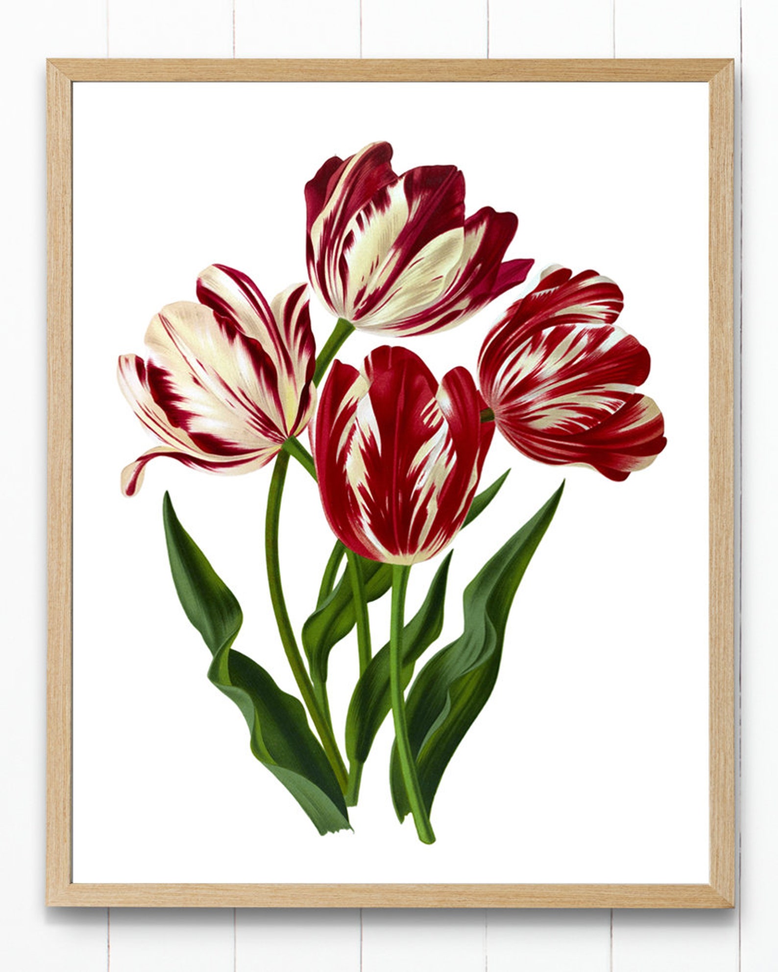 Spring Flowers Digital Art Print, Vintage Tulip Flower Illustration ...