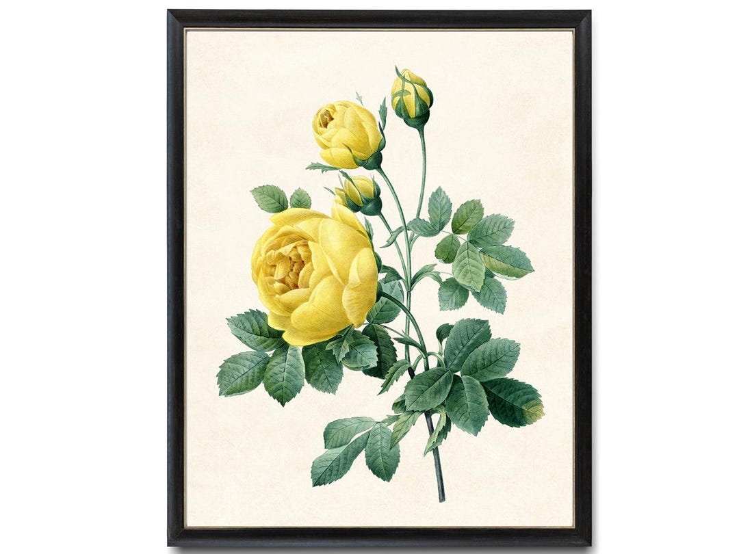 絵画 yellow roses by del gish yellow roses by del gish