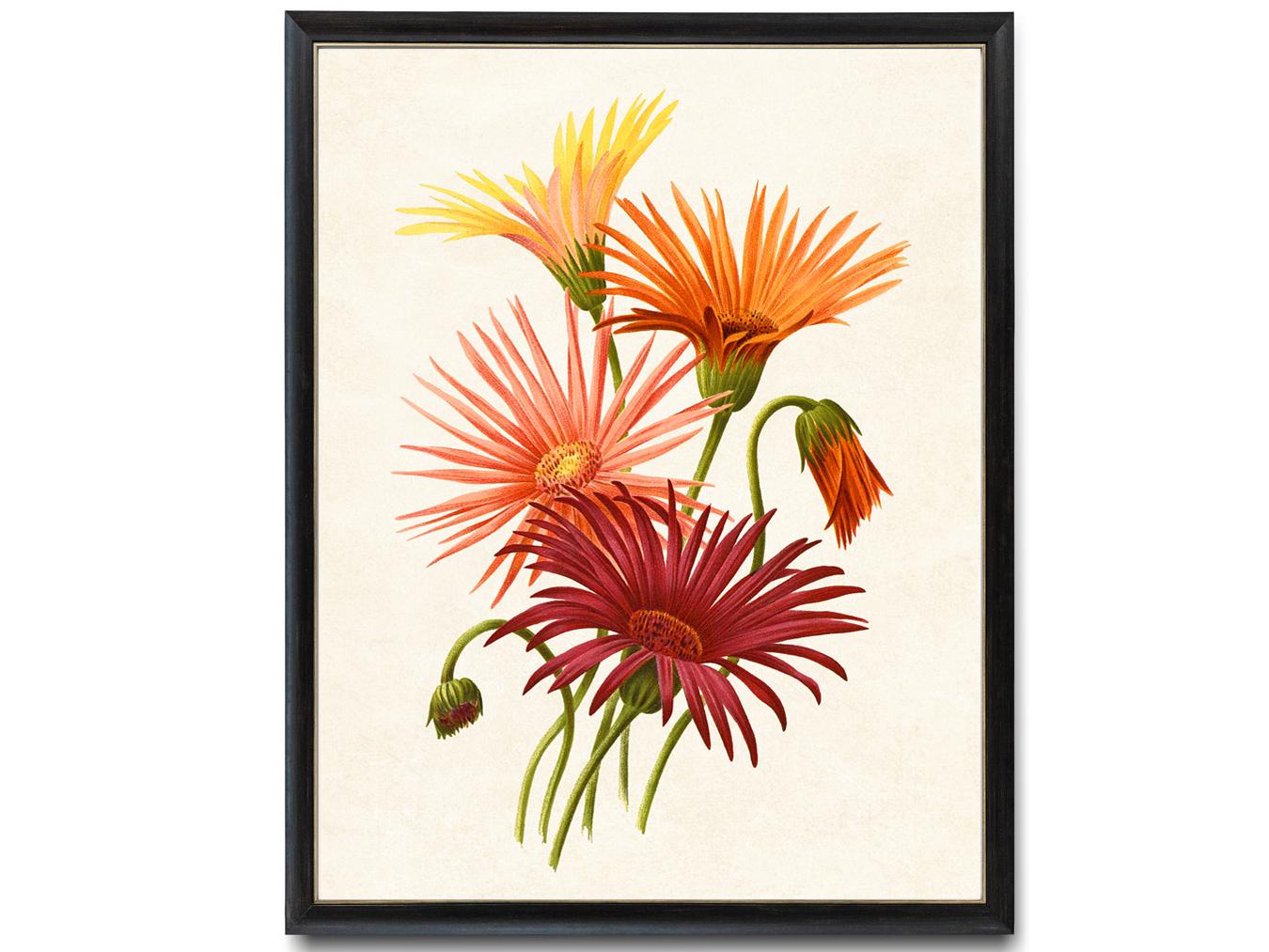 ビュフェ アート作品「Orange Daisys」Hibell Art 証明付き ビュフェ アート作品「Orange Daisys」Hibell Art 証明付き