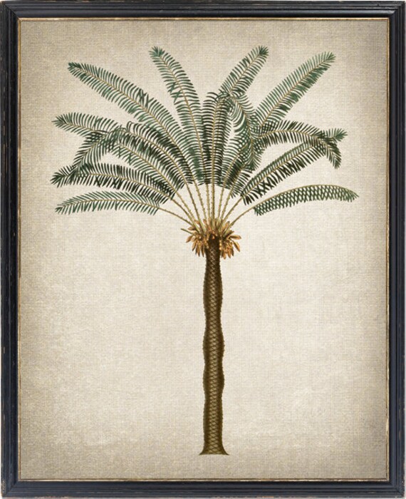 Palm Tree Vintage Wall Art Print Download Digital Prints Prints