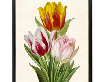 Vintage Tulips Art Print, Digital Download, Tulip Spring Flowers Botanical Wall Art Printable