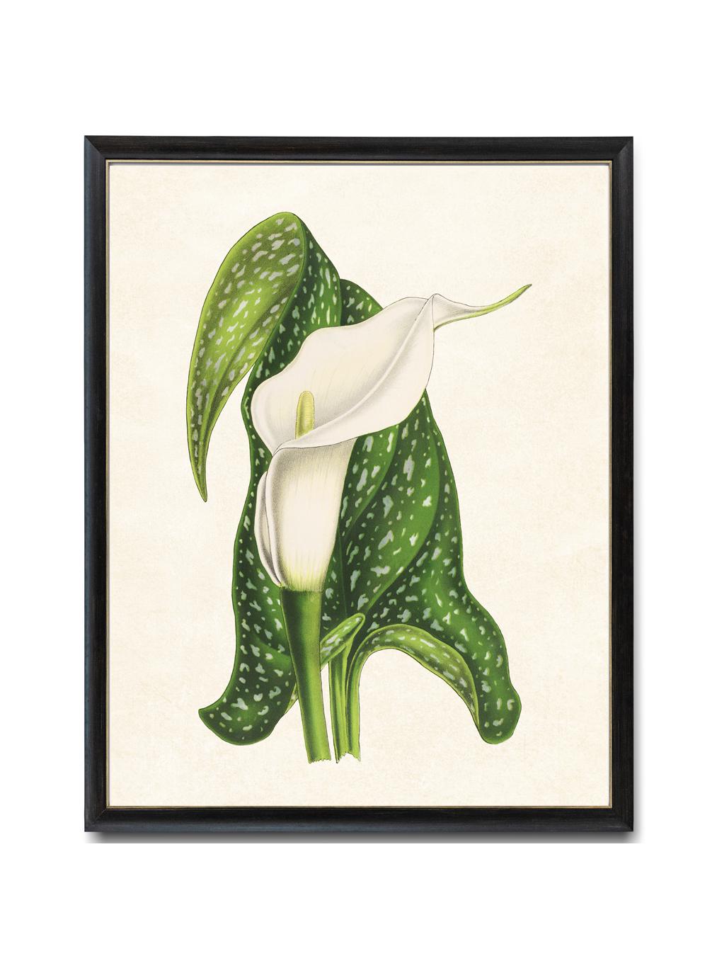 インテリア小物 【希少】ヴィンテージ 1948 Calla Lily Leaf トレイ
