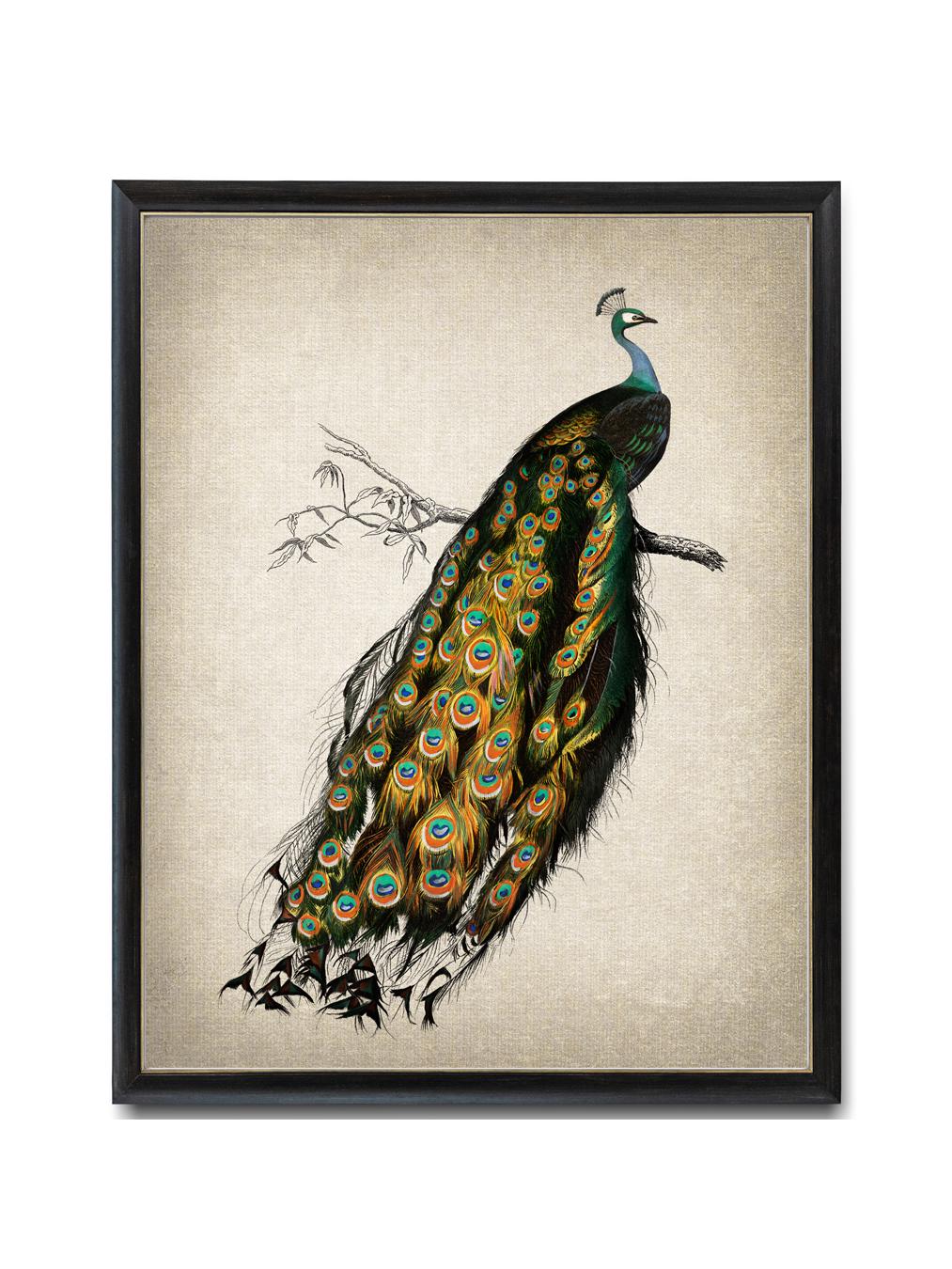 天然石絵画・貴石絵画・アンテーク美術工芸品／孔雀（クジャク］　昭和レトロ 天然石絵画・貴石絵画・アンテーク美術工芸品／孔雀（クジャク］ 昭和