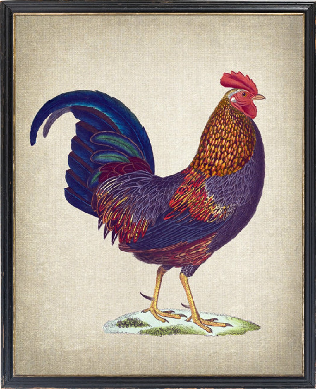 Rooster Printable, Antique Bird Illustration, Farmhouse Decor, Instant ...