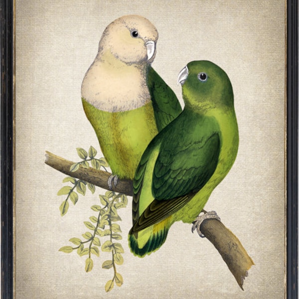 Lovebirds Wall Art Etsy