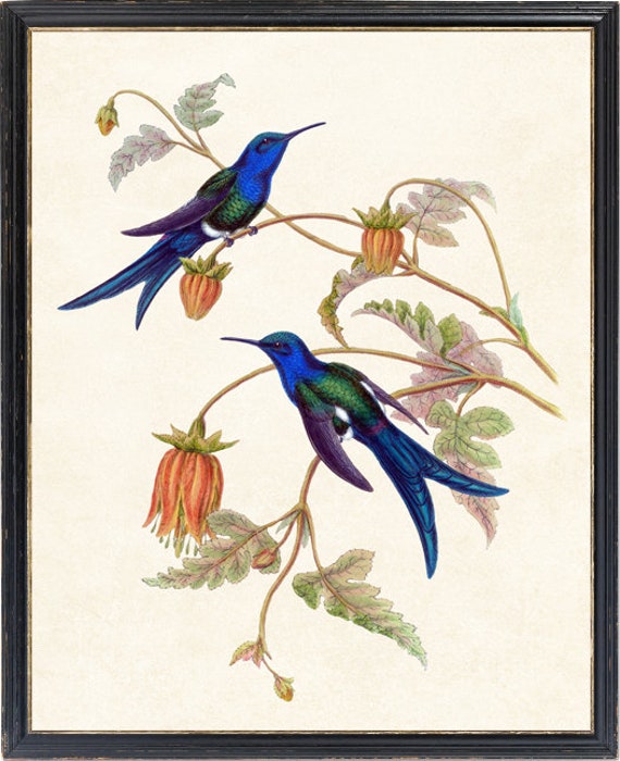 アメリカ90年代名門Andrea社美しい色彩のハチドリ陶器オブジェ