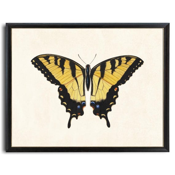 Tiger Swallowtail Butterfly Printable Art, Vintage Insect Tiger Swallowtail Butterfly Printable Art, Vintage Insect