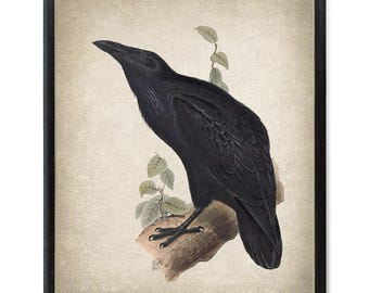 Corbeau gothique imprimable, illustration d'oiseau vintage, impression d'art mural numérique TÉLÉCHARGEMENT IMMÉDIAT