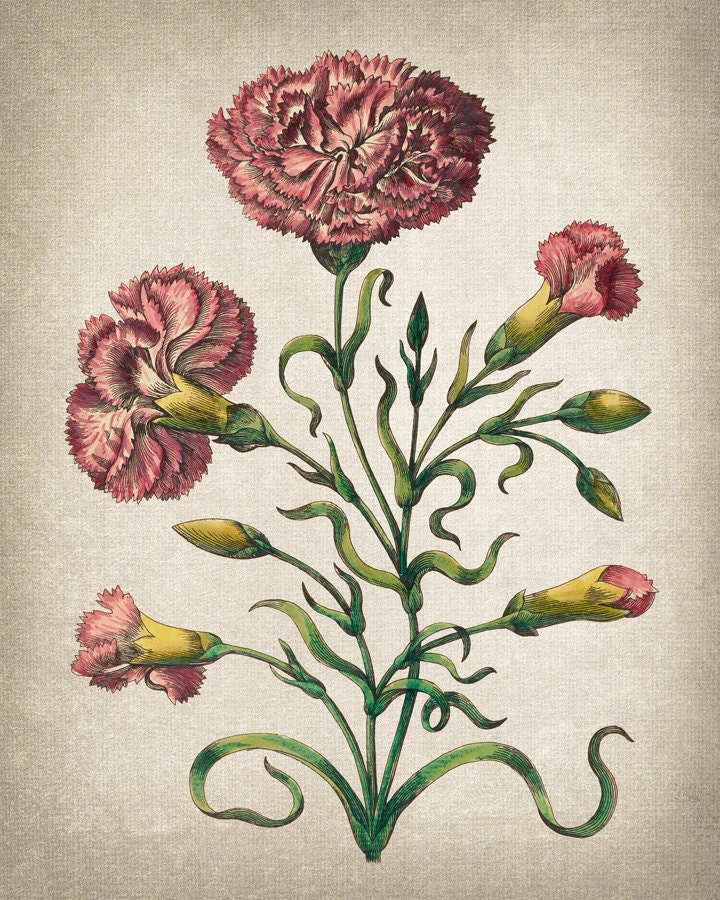 Antique Flowers Prints, Floral Gallery Wall Set of 9 Prints