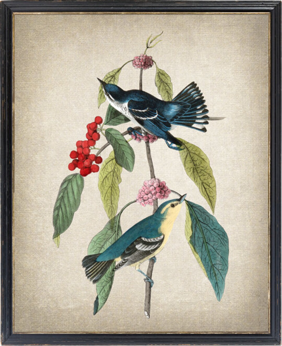 Audubon Birds : 版画 / 野鳥 / Botanical Art f057a914-6bcf-40b4-beb1-