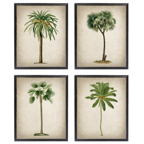 Prints Antique Greenery Print Digital Download Tropical Wall Decor Boho