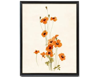 Orange Poppy Flowers Printable, Wind Poppies Vintage Illustration, Botanical Wall Art Print INSTANT DOWNLOAD