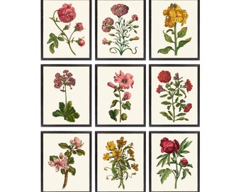 Set of 9 Antique Flower Printables, 18th Century Botanical Floral Illustrations, Vintage Flowers Wall Art INSTANT DOWNLOAD