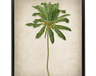 Coconut Palm Tree Printable, Vintage Illustration, Botanical Wall Art Print INSTANT DOWNLOAD
