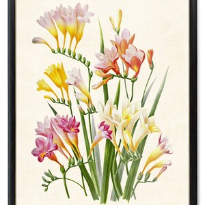 絵画 freesia  sizeF3 This item is unavailable - Etsy
