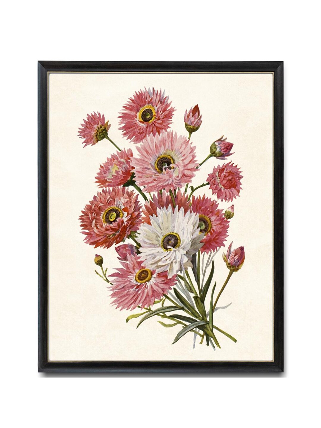 Pink Daisy Print Pink Daisies Digital Download, 'paper Daisy' Printable Vintage ...