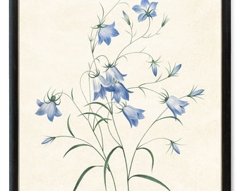 Bluebell Flowers Printable, P.J. Redoute Flower Vintage Illustration,  'Campanule Clochette' Botanical Wall Art INSTANT DOWNLOAD