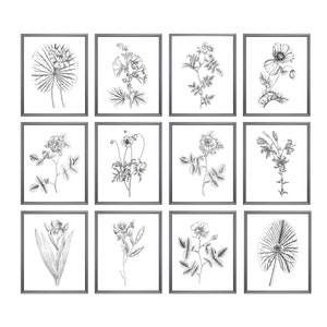 Set von 12 Blumen Radierungen, Printables, antike botanische Illustrationen, Schwarzweiß-Blumen, minimalistisches Dekor, SOFORTIGER DOWNLOAD