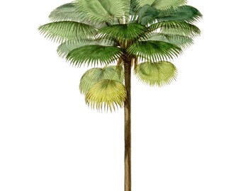 Society6 ケース Heart Green Yellow Vintage Palm Tree with Ha Palm Tree Print, Palm Leaf, Palm Tree Wall Art Decor