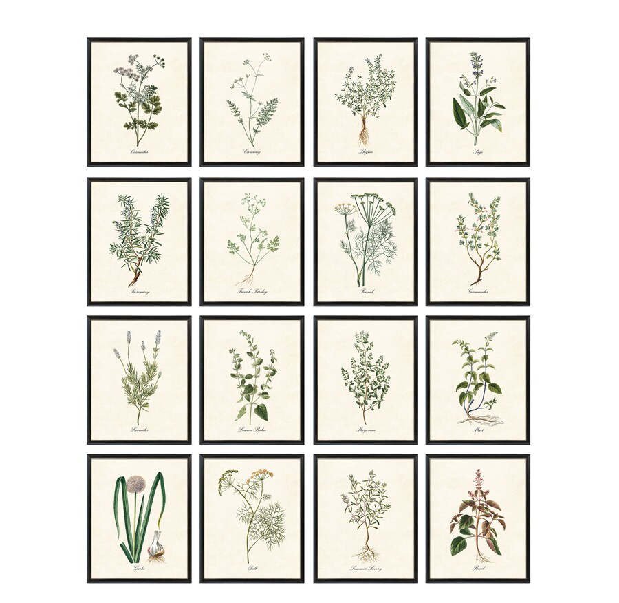 OldArtPrintables - Etsy
