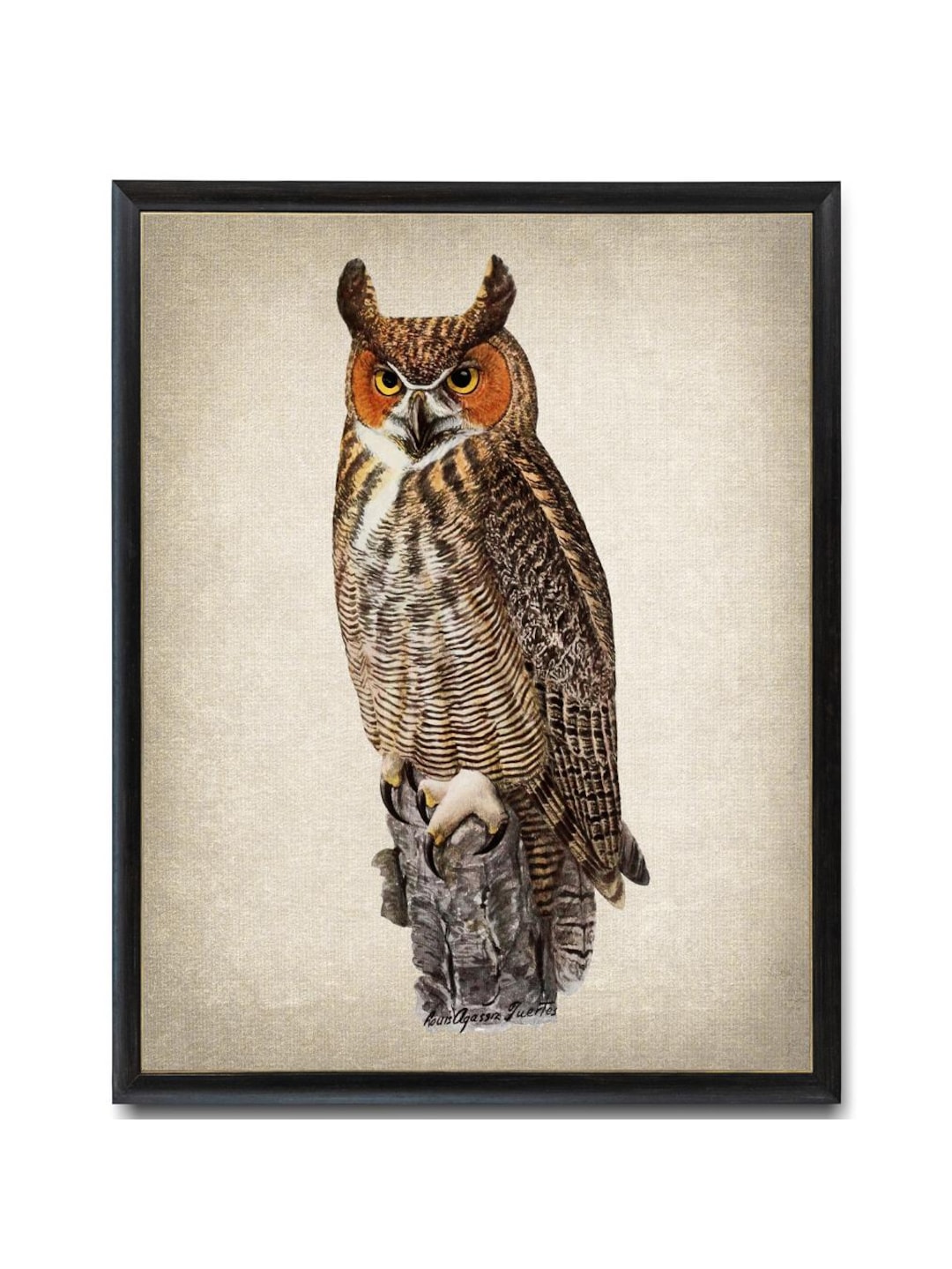 Owl Print, Great Horned Owl Vintage Illustration, Instant Wall Art ...