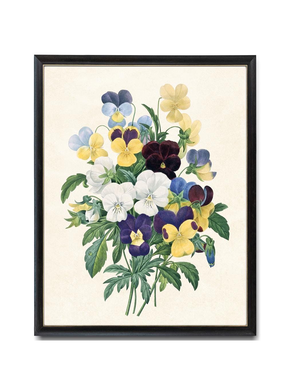 パンジーの花束（印刷可能）、P.J. Redouteによるヴィンテージフラワー