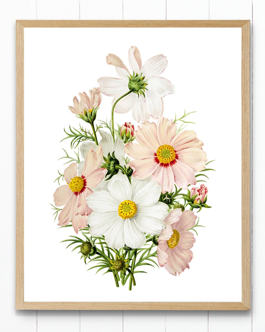 DOWNLOAD INSTANT White Etsy Wall and Pink Flower Art Illustration, - Printable, Cosmos Print Botanical Vintage