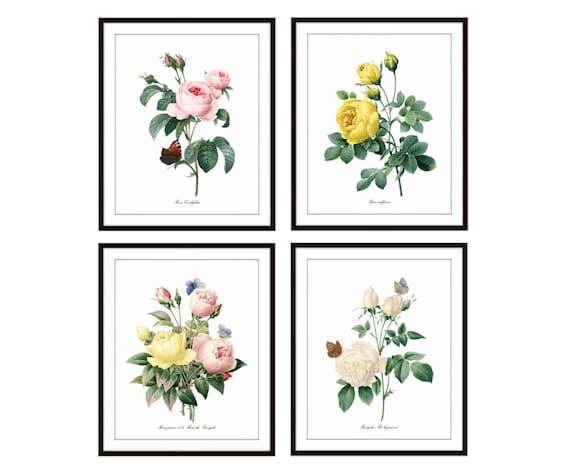 P.J. Redoute Art Roses Set of 4, Printable Vintage Rose