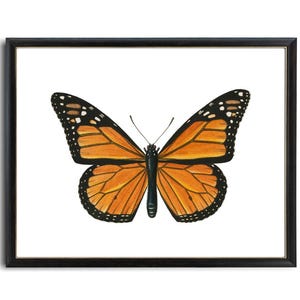 Art imprimable papillon monarque, illustration d'insecte vintage, histoire naturelle, décoration d'art murale minimale TÉLÉCHARGEMENT IMMÉDIAT image 2