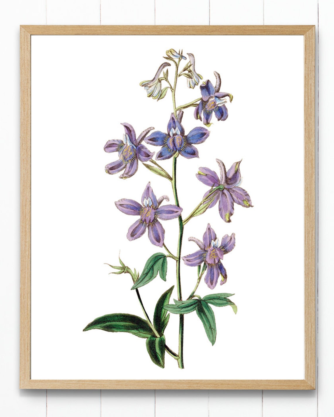 Blue and Purple Delphinium Flowers Digital Print, Vintage Larkspur ...