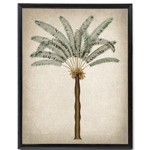Palmera imprimible, ilustración vintage, decoración tropical de palma de sagú, impresión botánica para pared. DESCARGA INSTANTÁNEA.