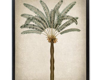 Palm Tree Printable, Vintage Illustration, Sago Palm Tropical Decor, Botanical Wall Art Print INSTANT DOWNLOAD