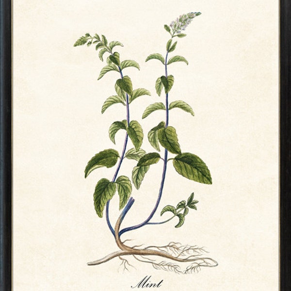 Mint Kitchen Art Etsy