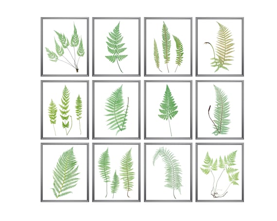Home &amp; Living Botanical Wall Art Prints INSTANT DOWNLOAD Vintage ...