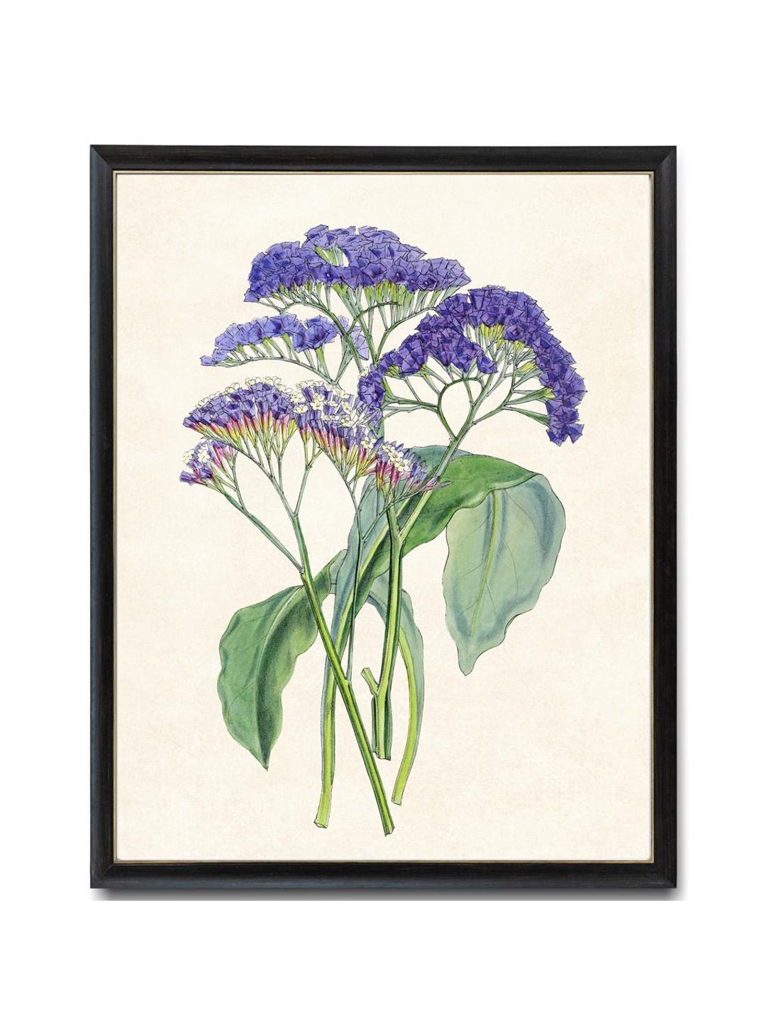 #花の絵 の花 - ベクター画像のベクターアート素材や画像を多数ご用意