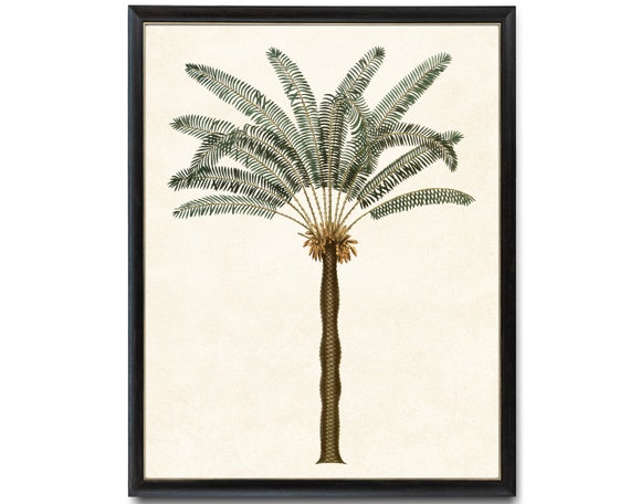 Generic Surplus Borstal Harring Palm Tree Print - New Generic Surplus - Page 2 | Hypebeast main image 2