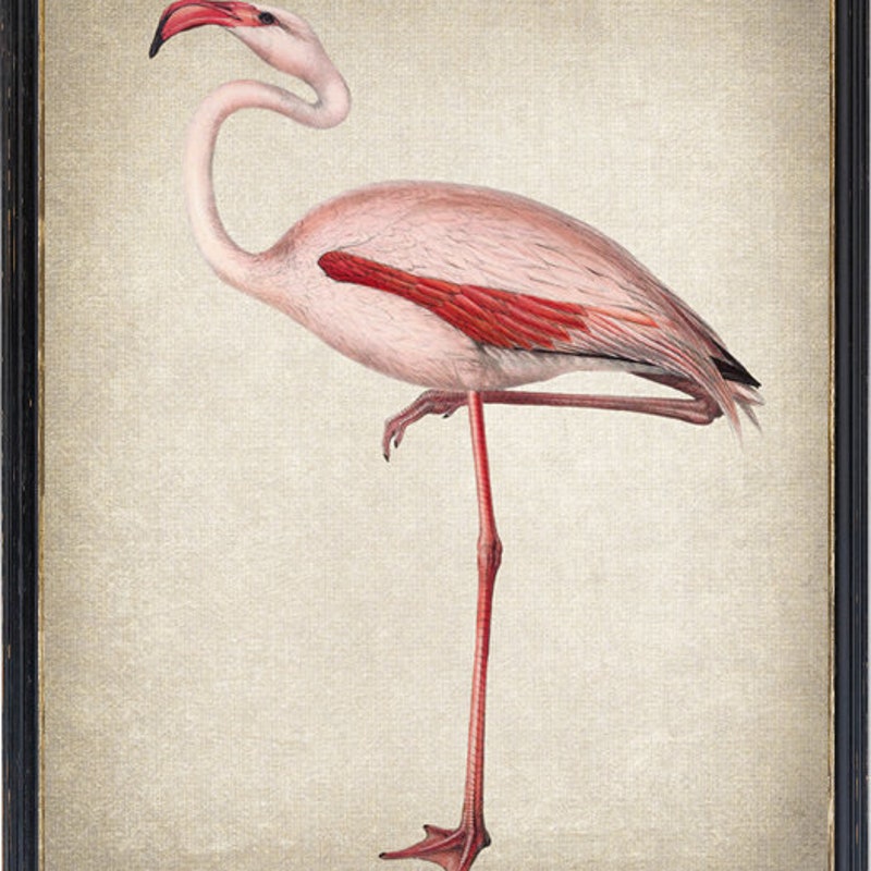 Flamingo Printables - Etsy